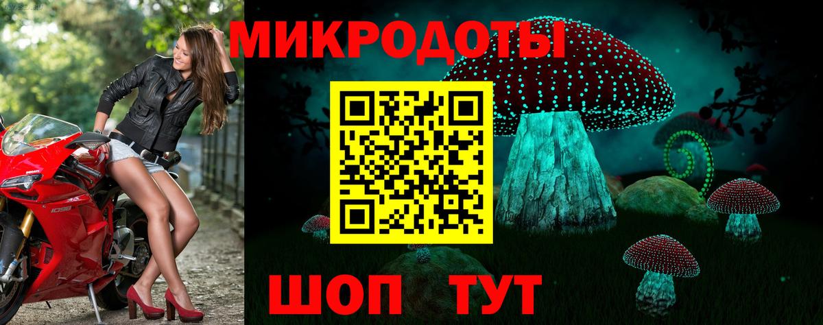 Псилоцибиновые грибы Psilocybe  Вход с VPN  Советский 