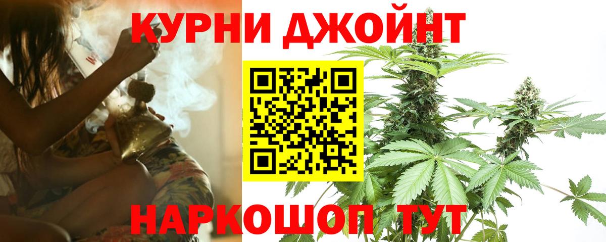 Конопля марихуана Советский